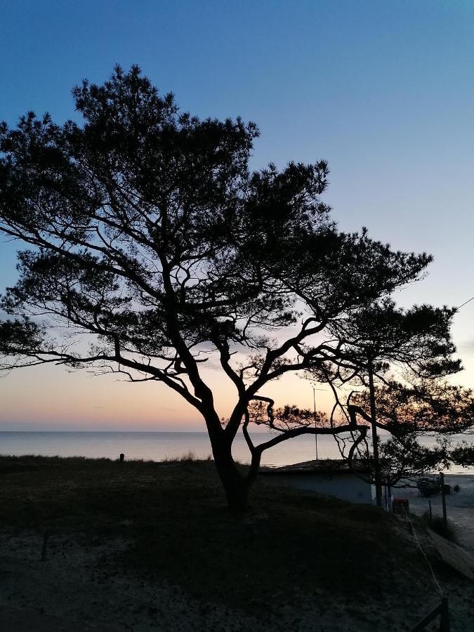 Pension Mien Fruendt Baabe Exteriér fotografie