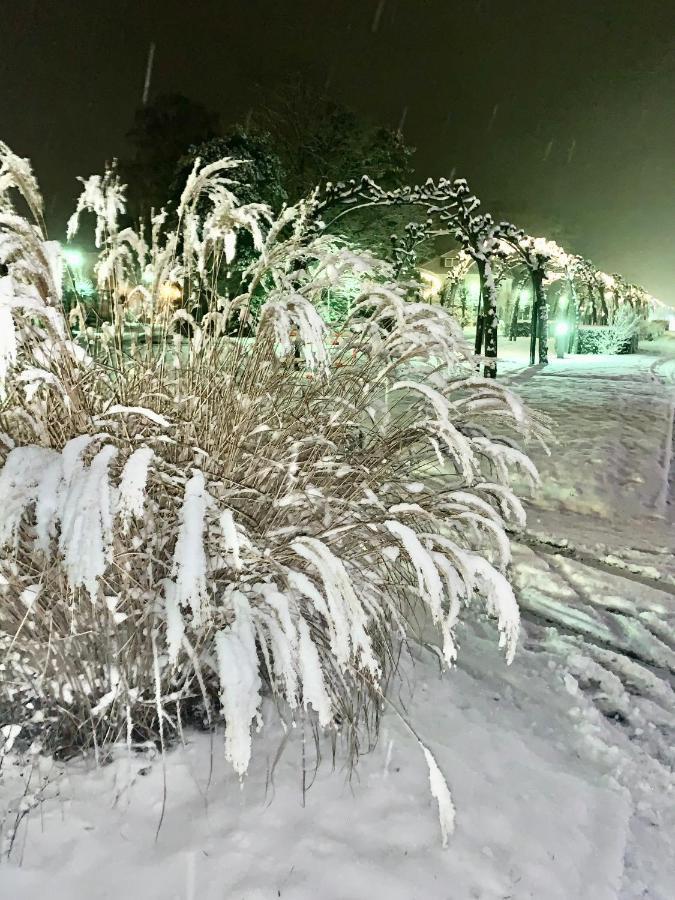 Pension Mien Fruendt Baabe Exteriér fotografie